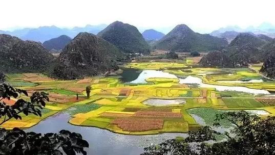 彩云之南,云南生态与文化瑰宝探秘